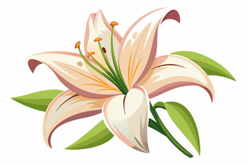 Naklejka premium Single White Lily with Green Leaves