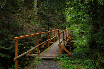 Hiking Trail Rabenschlucht (Raven Gorge) in Todtmoos, High Black Forest germany