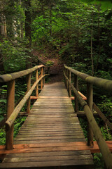 Hiking Trail Rabenschlucht (Raven Gorge) in Todtmoos, High Black Forest germany