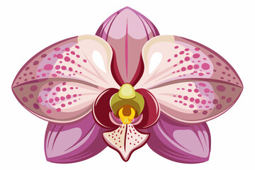 Pink and White Spotted Orchid Flower with Yellow Center