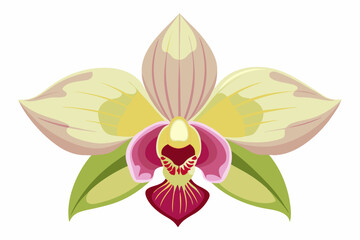Obraz premium A Close-Up View of a Yellow and Pink Orchid Flower