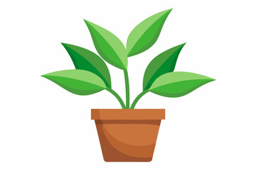Green plant with five leaves in a brown pot