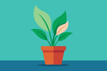 A potted plant with green and peach leaves