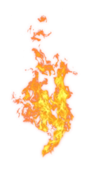 Fototapeten Feuer & Flamme Realistic fire overlay effect. Vivid flames isolated on transparent background  © HTGanzo