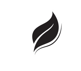 Fototapeta premium leaf icon