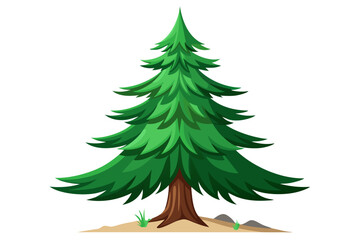 Fototapeta premium Green Evergreen Coniferous Tree with Brown Trunk on Ground