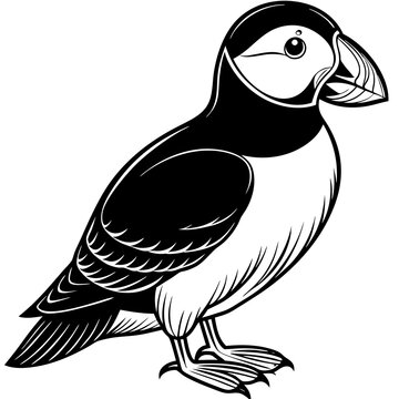 recommend clip art: puffin bird silhouette vector illustration