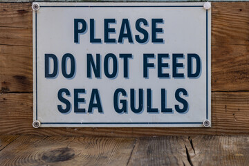 Obraz premium A sign asking people not to feed the seagulls, at an outside cafe