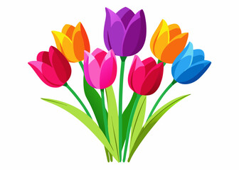 colorful tulips isolated vector illustration on white background