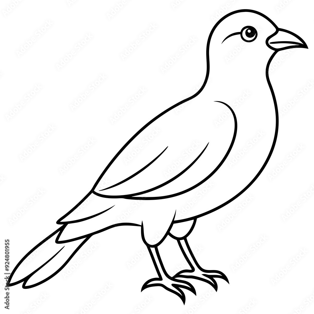 Poster hand drawn bird outline illustration