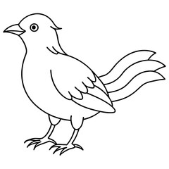 hand drawn bird outline illustration