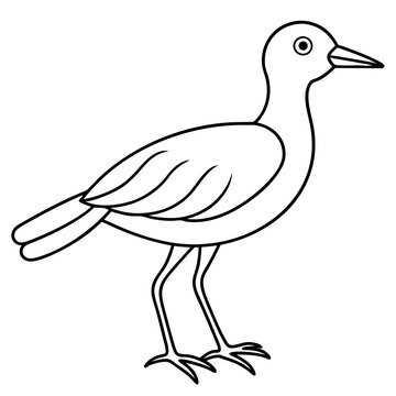 recommend clip art: hand drawn bird outline illustration