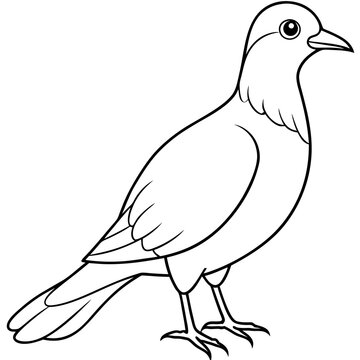 recommend clip art: hand drawn bird outline illustration