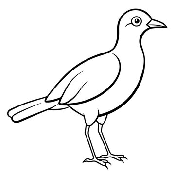 recommend clip art: hand drawn bird outline illustration