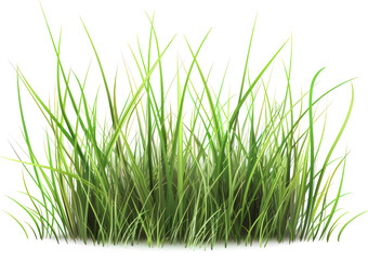 Obraz premium A lush patch of green grass with blades reaching upwards against