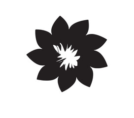 black and white flower