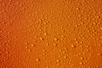 Drops on orange yellow background. Water drops on dark orange background. Shades of yellow orange colour Abstarct wet texture with bubbles. Raindrop, pure water droplets condensed for banner design