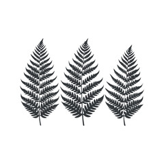  leaves silhouettes Clip art isolated vector illustration on white background