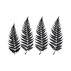  leaves silhouettes Clip art isolated vector illustration on white background