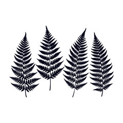  leaves silhouettes Clip art isolated vector illustration on white background