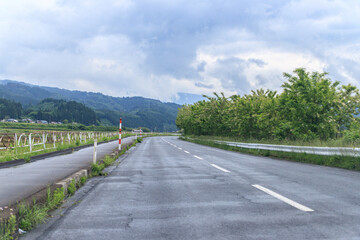 A Serene Rainy Journey Along the Verdant Countryside Road