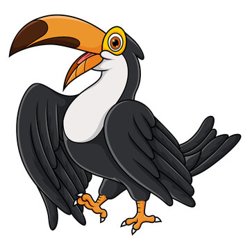 recommend clip art: Cartoon funny toucan on white background