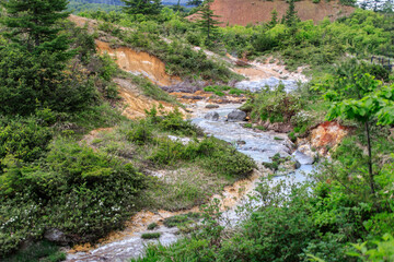Scenic Natural Stream Flowing Through Lush Forest, Goshougake Onsen, Akita, Japan