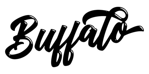 Buffalo city name written in street art-style liquid brush script lettering