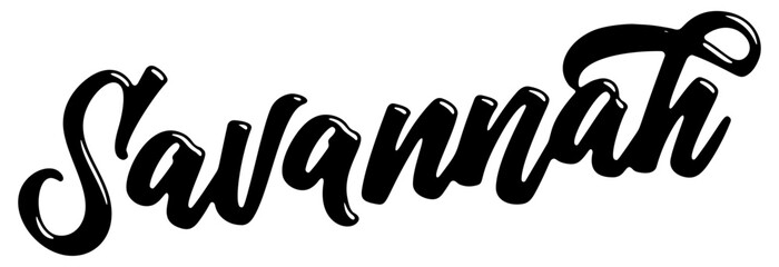 Savannah city name written in street art-style liquid brush script lettering