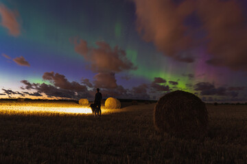 Nature of Estonia, night scene, a man with a husky dog ​​in a field with sheaves of hay under the starry sky during the northern lights. © Dmitri