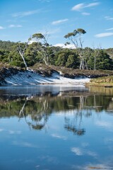 Reflections of trees in the water of a small lake. Small lagoon created by Counsel Creek on Maria Island, Tasmania, Australia. Maria Island Nature Reserve and National Park. Untouched Tasmanian Nature