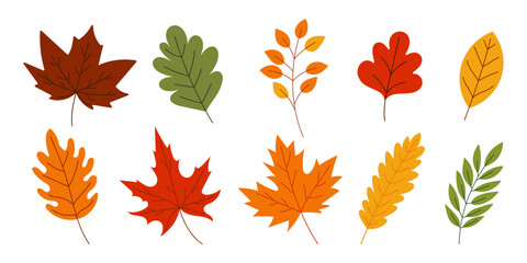 A set of colorful autumn leaves are drawn in various sizes and styles. The leaves are arranged in a row, with some overlapping and others standing alone. Scene is cheerful and vibrant