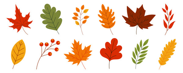 A set of colorful autumn leaves are shown in various sizes and orientations. The leaves are arranged in a row, with some overlapping and others standing alone. Scene is warm and inviting
