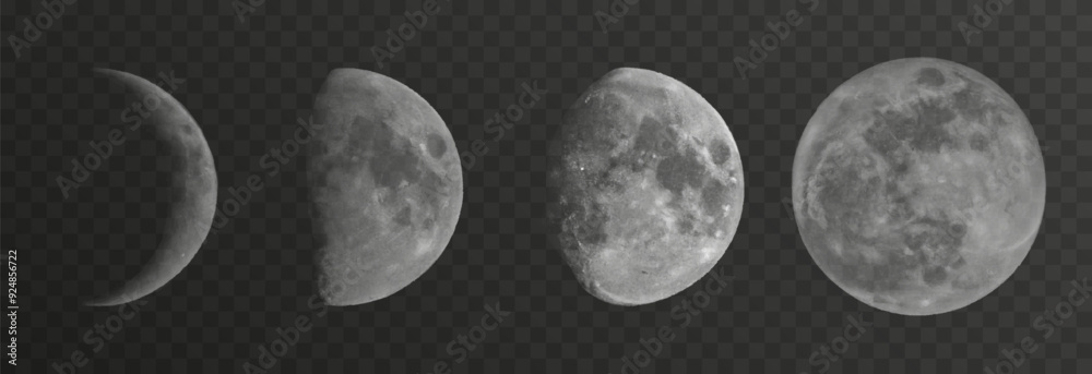 Wall mural set of realistic vector moon on an isolated transparent background. moon vector png.