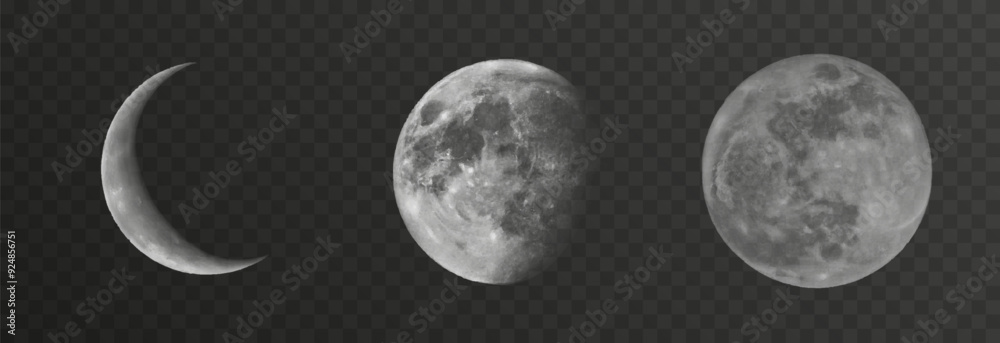 Wall mural set of realistic vector moon on an isolated transparent background. moon vector png.