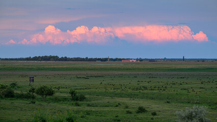 Lake Neusiedl Seewinkel National Park on a sunny evening