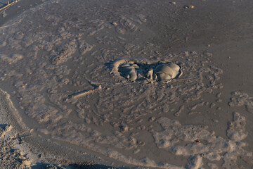 Active mud volcano in Berca, Buzau, Romania. These small, volcano-shaped mounds, usually a few meters tall, result from deep volcanic gas eruptions.