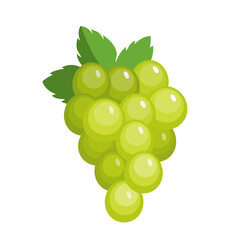 Vector white grape icon, illustration of green fruit with leaf isolated of white background, wine grape bunch logo symbol in flat cartoon style