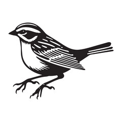 Fototapeta premium White-throated sparrow silhouette, Sparrow Bird Clipart, White-throated Sparrow standing illustration