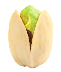 One tasty pistachio nut isolated on white