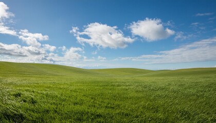 Fototapeta premium vast, empty green grass field stretches out under a clear blue sky dotted with fluffy white clouds, creating a serene and open landscape that evokes a sense of peaceful tranquility.