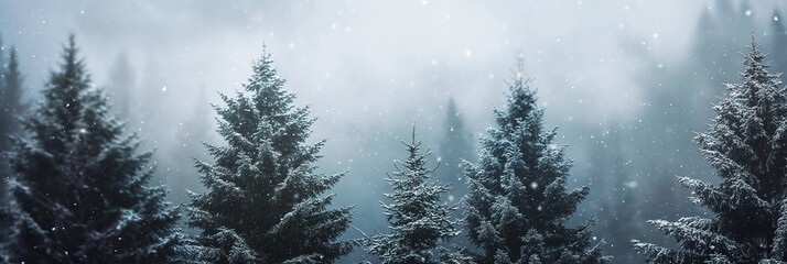 Snow-covered pine trees stand tall in a misty forest, creating a serene and peaceful winter landscape as snow gently falls.