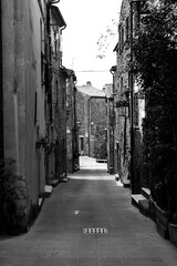 narrow street in the old town