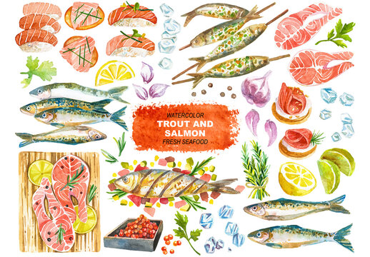 Vector watercolor painted trout and salmon fish clipart isolated on white background.