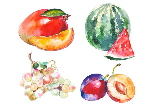 Watercolor painted collection of fruits. Hand drawn fresh food design elements isolated on white background.
