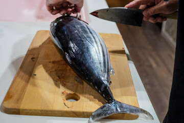 カツオをさばく