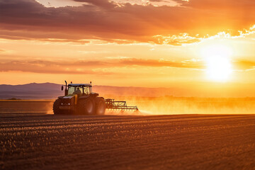Fototapeta premium A tractor equipped with a high hitch sprayer operates in a vast field during sunset, casting a warm, golden glow over the landscape. The scene captures the essence of agricultural work at dusk