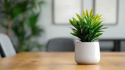 A vibrant green plant in a white pot adds a fresh and modern touch to a stylish interior setting.