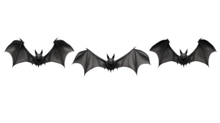halloween bat and bats