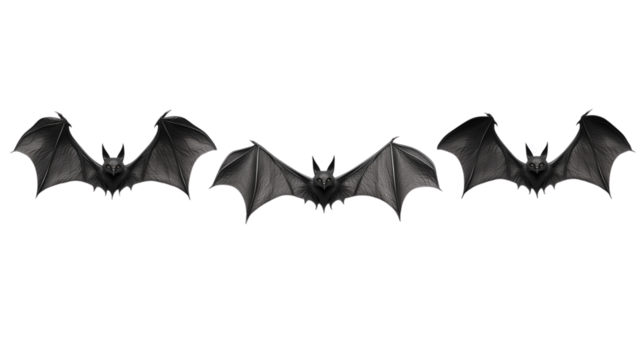 halloween bat and bats